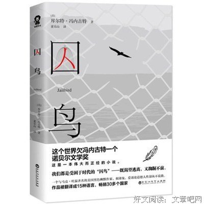 《冠军早餐 囚鸟》读后感锦集