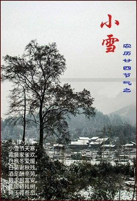 今日小雪：天地初寒，愿君安康