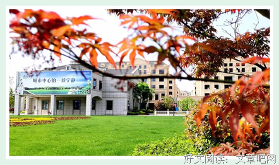 清宫·红尘尽处（上下）读后感100字
