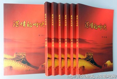 《访问历史》读后感100字