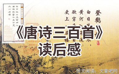 一个人的好天气读后感1000字