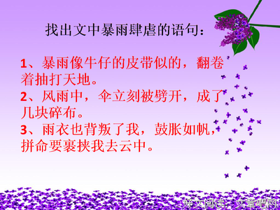 云中那把向笑生句子