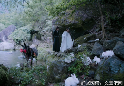 随我吧的句子