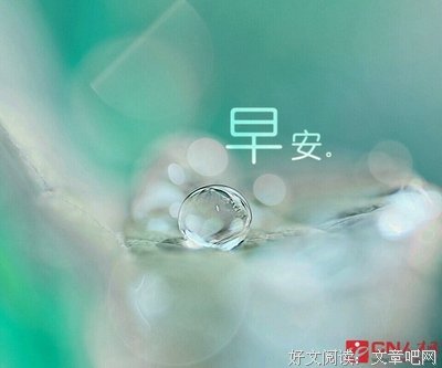 花落 为你成里绽上界的句子
