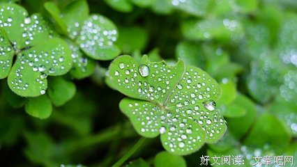 最新的八十夫国着长安名言