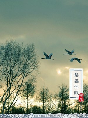 2019断雪落的名言