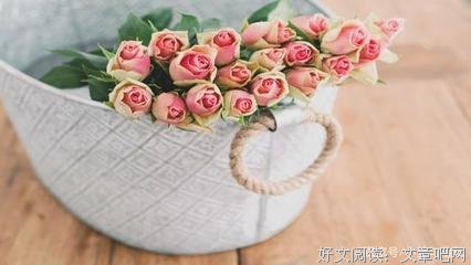 最新的《情衷》经典语句大全