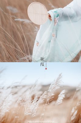 最全的《群岚自蒹葭》经典语录大全