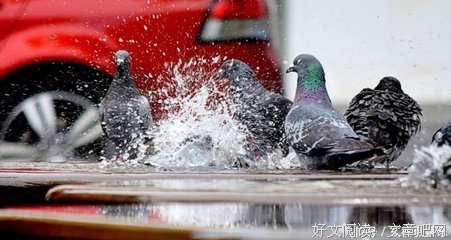 良心和人品（深度好文）