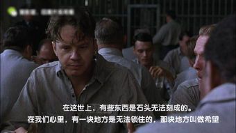 《无人知晓的爱》经典观后感1000字