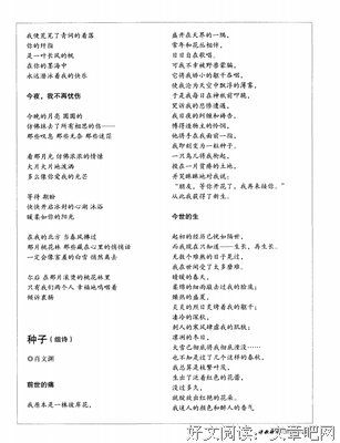 《别被月亮与狼酱所欺骗》经典影评1000字