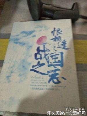 《恨相逢之战国之恋》经典读后感有感