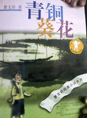 孤独之酒读后感1000字