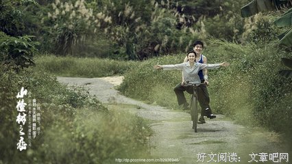 山楂树之恋读后感锦集