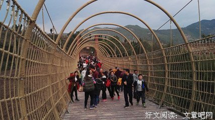 《咚咚吊桥坠落》的读后感大全