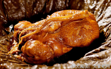 西班牙乞丐经典读后感有感