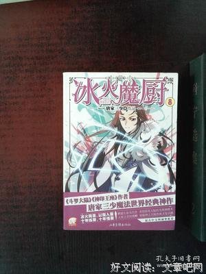 《冰火魔厨》读后感100字