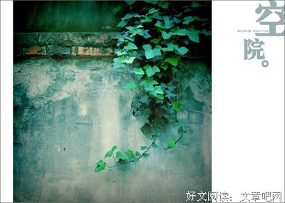 《上海老房子里，点点胭脂红》读后感摘抄
