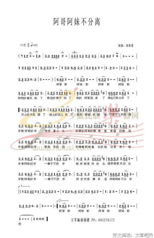 《弟弟的演奏》读后感1000字