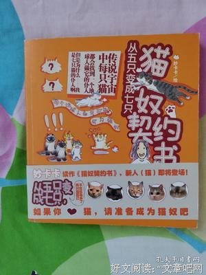 猫奴契约书经典读后感有感