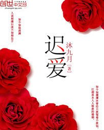 《迟爱 下》读后感100字