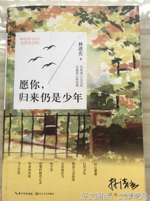 《我从战场归来》读后感1000字