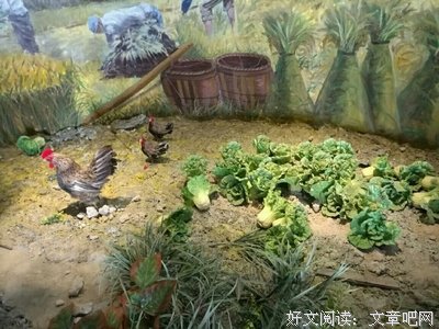 《黄花塘往事》好看吗？经典影评锦集