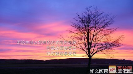 文章经典名句