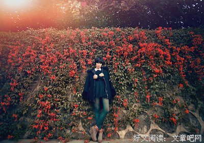 年华一度.梦如歌.名句欣赏