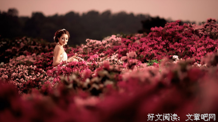 关于声得坡画扇 的句子