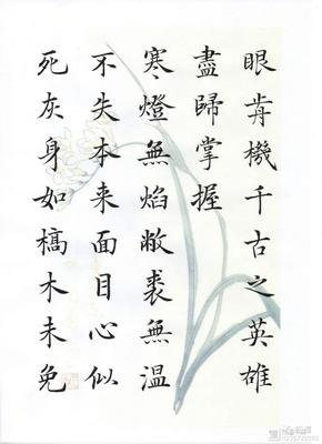 寸心白衫2的优美句子