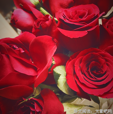 关于张佳嘉的优美句子