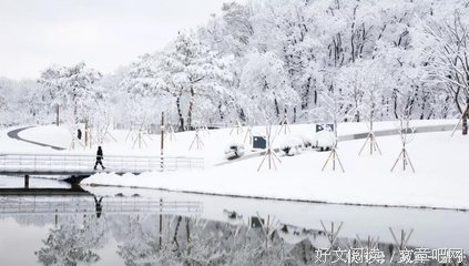 关于Marti Olsen Laney名言大全