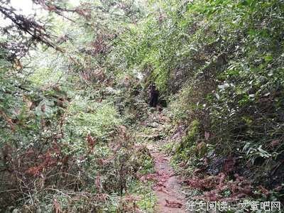 历经专业年审，奋斗一万小时，只为了陪你走过一段自我探索的旅程