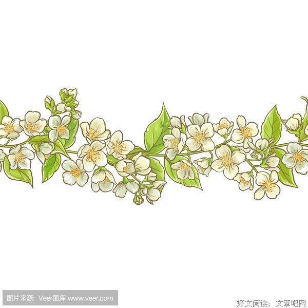 《茉莉茉莉》经典观后感集