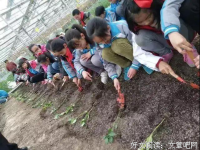 《春天读诗6》影评100字