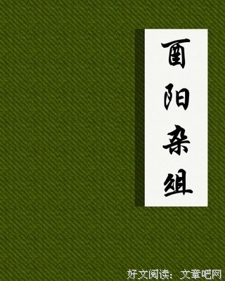 《酉阳杂俎》经典读后感有感