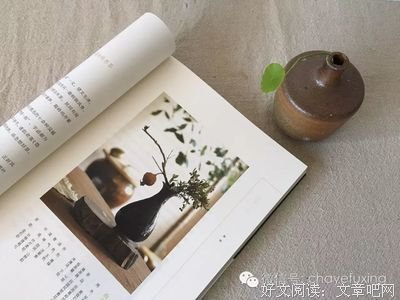 《吃茶一水间》读后感精选