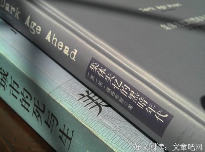 《集体失忆的黑暗年代》经典读后感有感