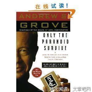《安迪·格鲁夫传》读后感100字