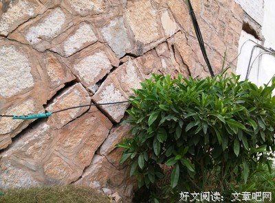 《组织部长》读后感1000字