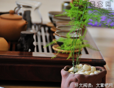 清欢读后感1000字
