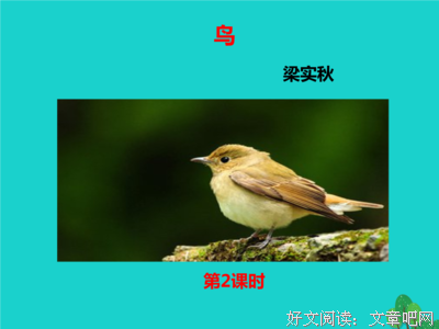 描写色彩斑斓的经典句子