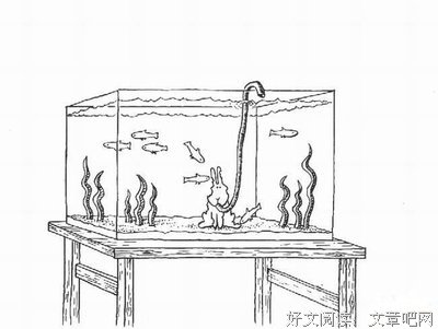 《找死的兔子》读后感锦集