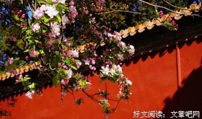 关于与世无争名言名句