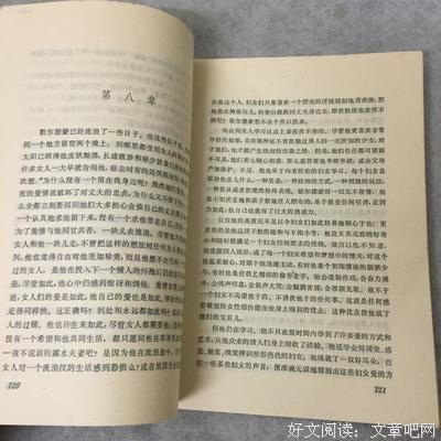 《纳尔齐斯与歌尔德蒙》读后感摘抄