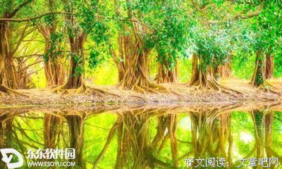 流夙的句子