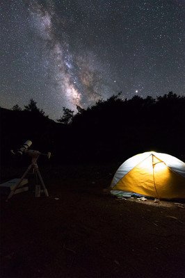 有关荒野的追星客的句子