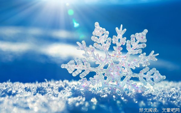 《闪虾亮晶晶》好看吗？经典影评锦集