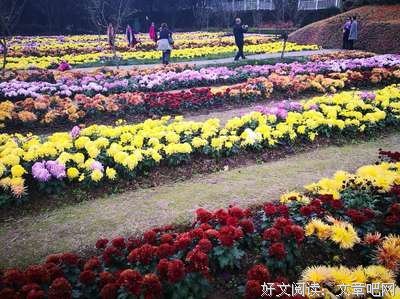 关于花漫来国的句子
